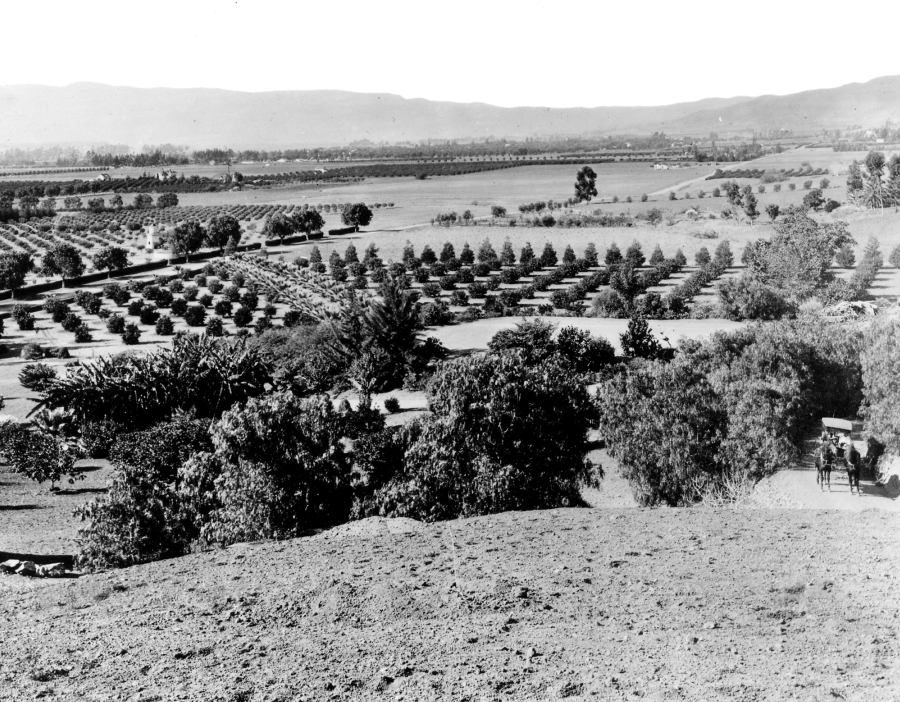 Los Feliz 1896 Laughlin Park toward Hollywood Hills.jpg